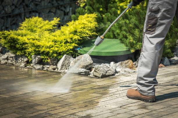 Best Winterizing Services  in West Lealman, FL