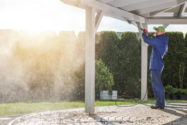 Best Roof Washing  in West Lealman, FL